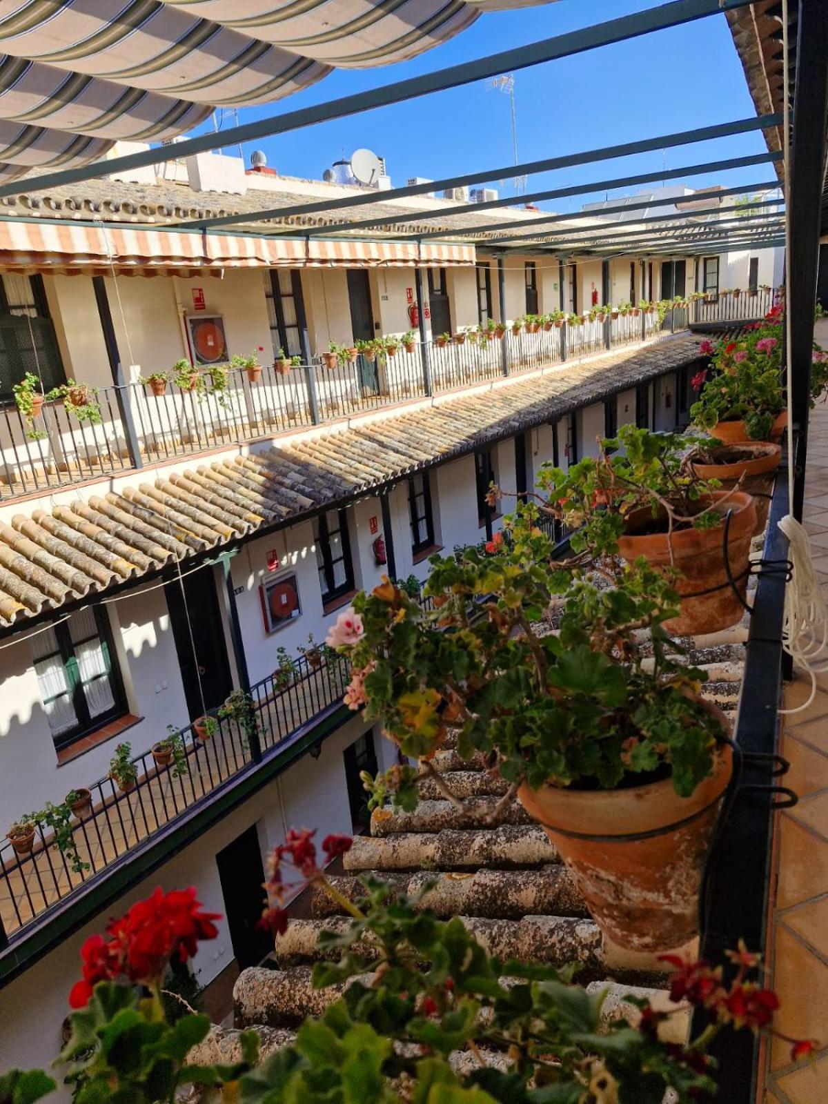 Apartamento Patio Cartuja Sevilla Exterior foto