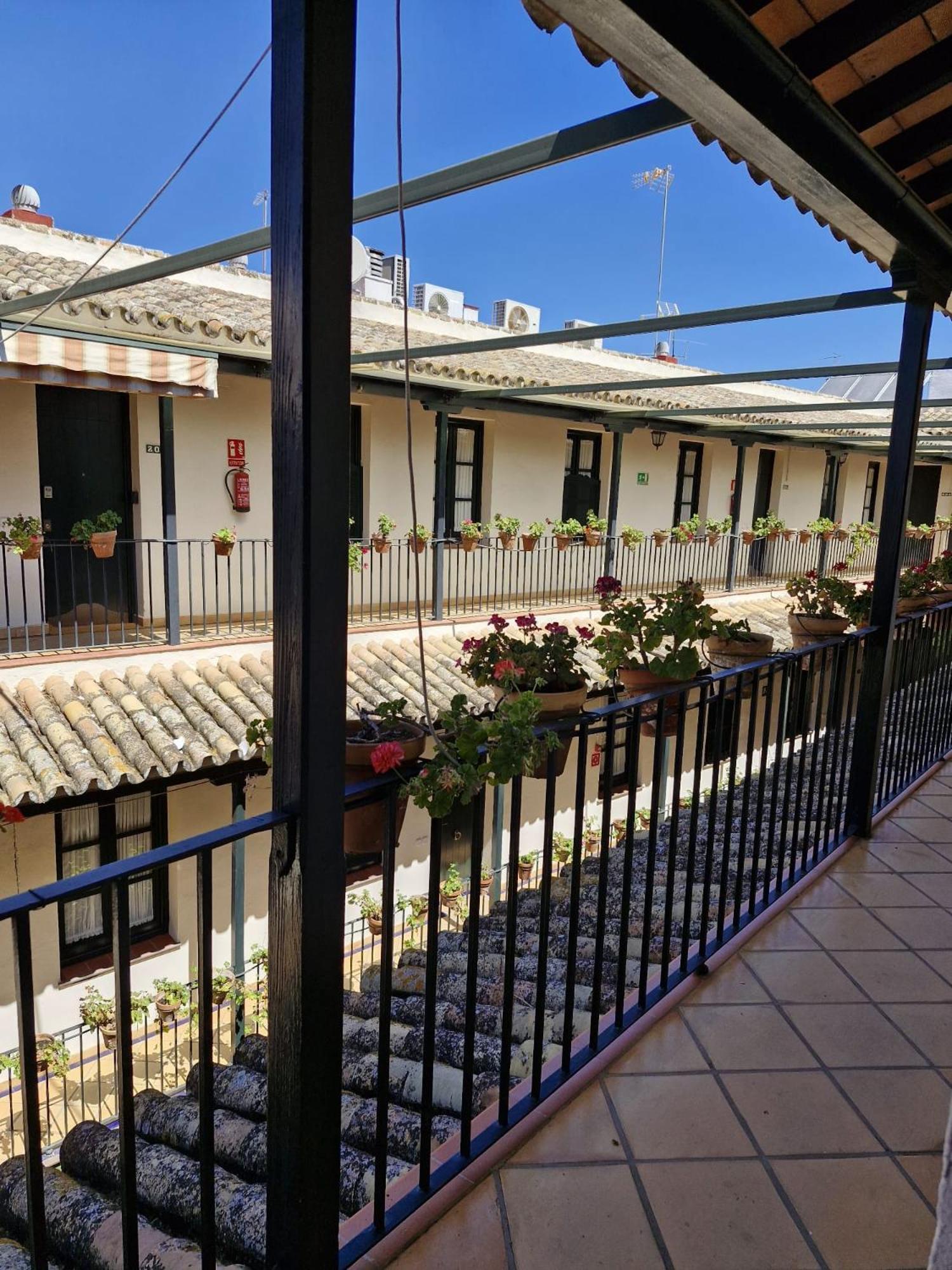 Apartamento Patio Cartuja Sevilla Exterior foto