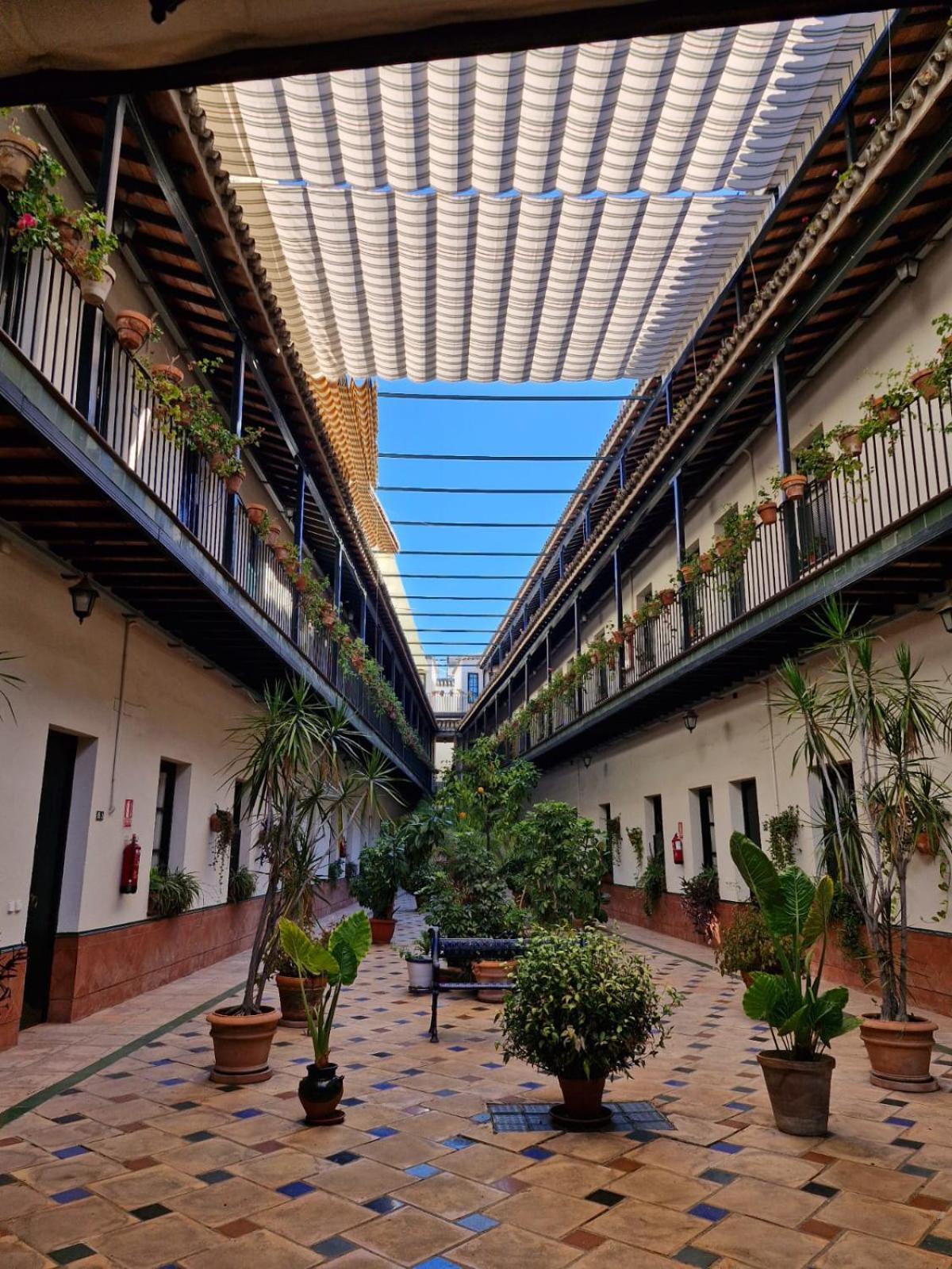 Apartamento Patio Cartuja Sevilla Exterior foto