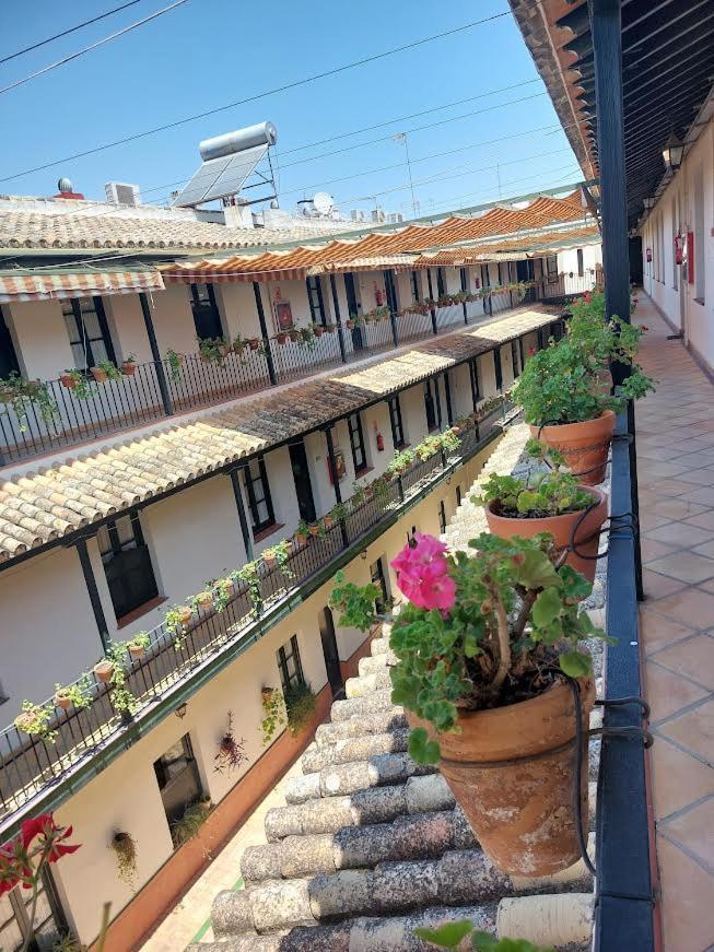 Apartamento Patio Cartuja Sevilla Exterior foto